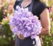 Bouquet of lavender sweet pea flowers held in a cutting garden