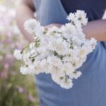 Cornflower / Bachelor Button Seeds - Tall White - Image 2