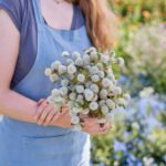 Gomphrena Seeds - White - Image 2