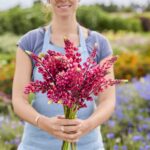 Russell Lupine Seeds - The Pages - Image 2