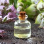 Clary Sage Seeds - Bluish-White - Image 4